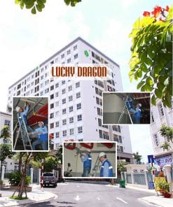 Lucky Dragon