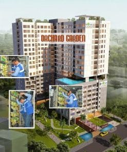 Orchard Garden