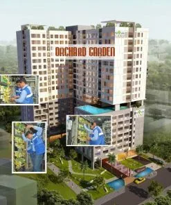 Orchard Garden